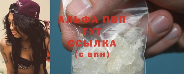 СК Богородицк