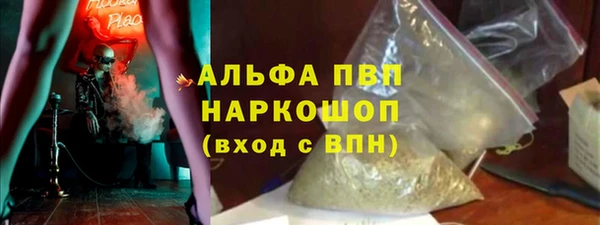 СК Богородицк