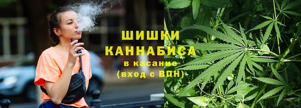 Альфа ПВП Богородск