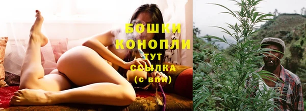 СК Богородицк